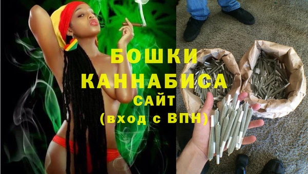 дурь Арсеньев