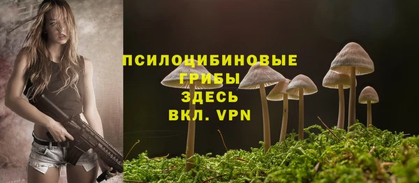 СК Алексин